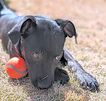 Photo of Carly