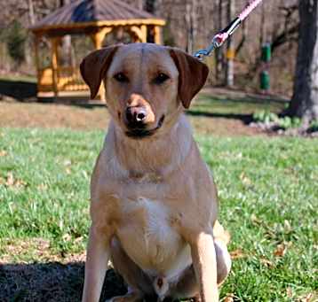 Photo of Bo Duke