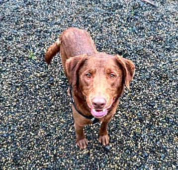 Photo of Linus
