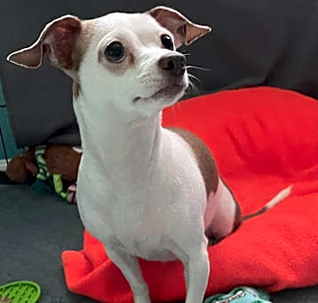 Photo of Sophia