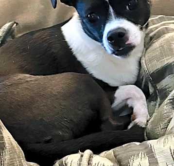Photo of TESS