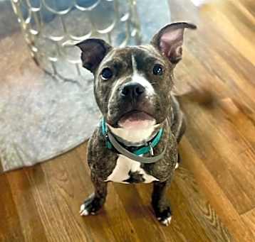 Photo of Knox