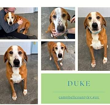 Photo of Duke