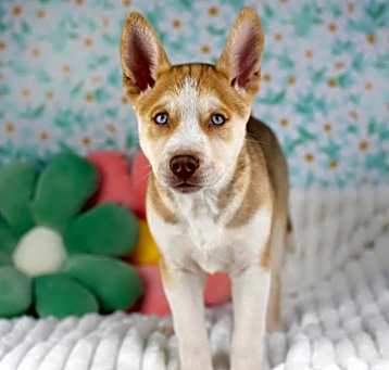 Photo of Bridget