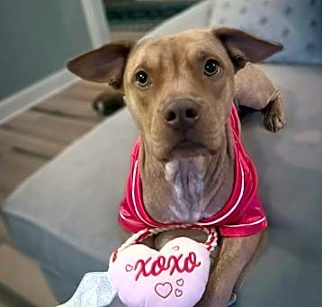 Photo of Mazie