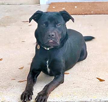 Photo of BETTY
