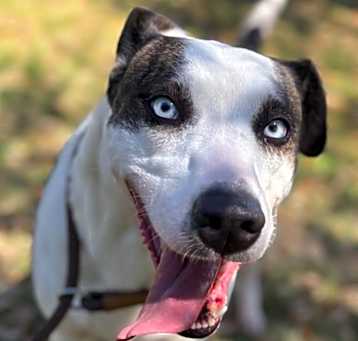 Photo of DOROTHY