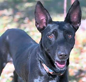 Photo of SUGAR