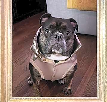 Photo of Gia