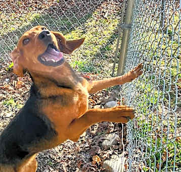 Photo of Lucky Penny