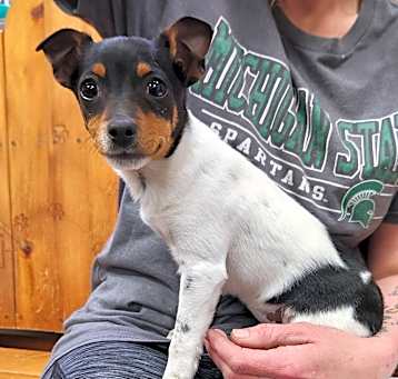Photo of Dottie