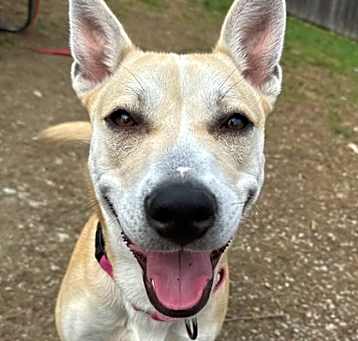 Photo of Ellie Mae