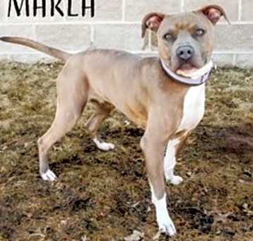 Photo of Marla