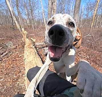 Photo of Darla