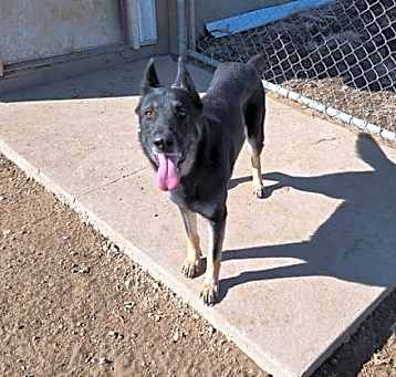 Photo of Betty