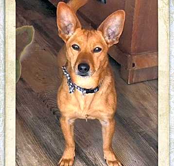 Photo of Pablo