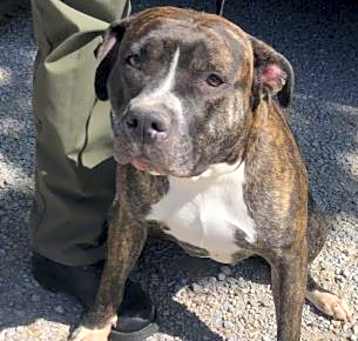 Photo of Athena