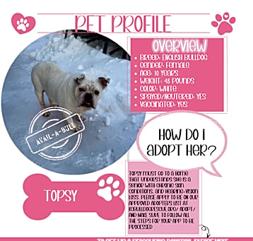 Photo of Topsy