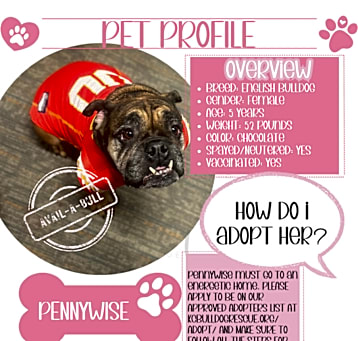Photo of Penny Wise 