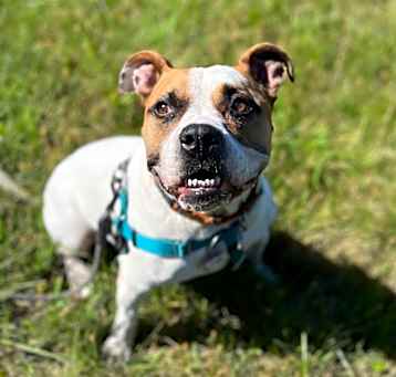 Photo of Roxy