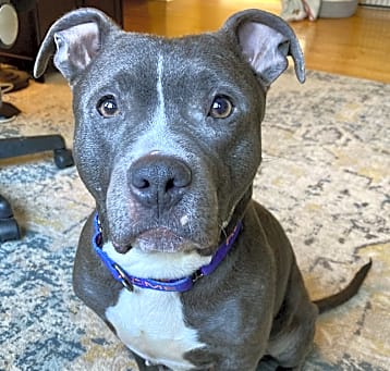 Photo of Hattie