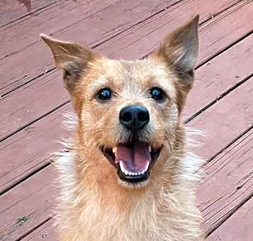 Photo of Reuben