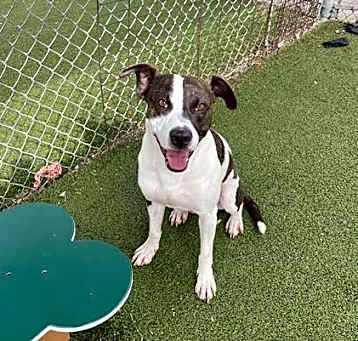 Photo of PETEY
