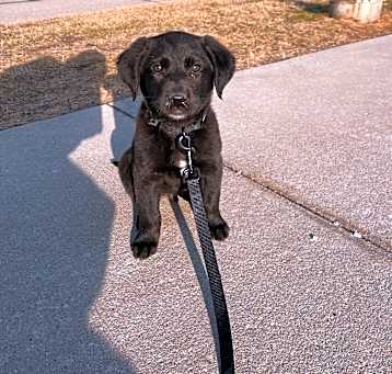 Photo of Aspen