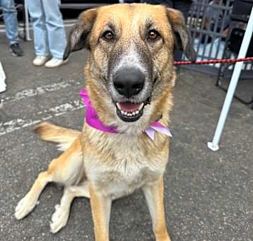 Photo of Penelope