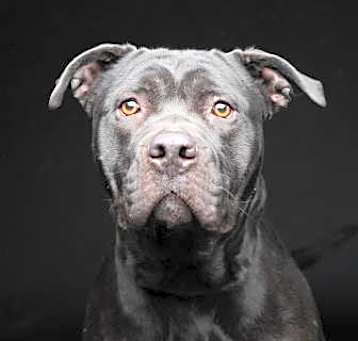 Photo of Chloe