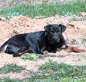 Photo of Khloe