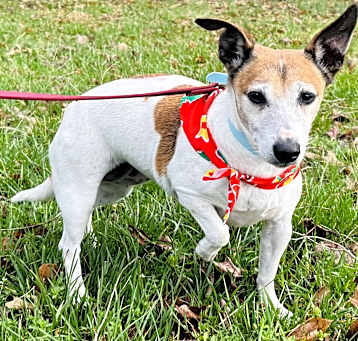 Photo of Lucky Lady #9951