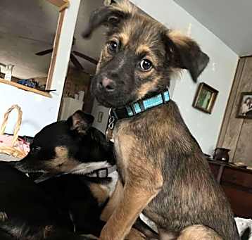 Photo of Zeek