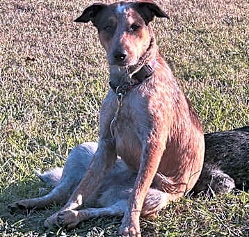 Photo of Roxy