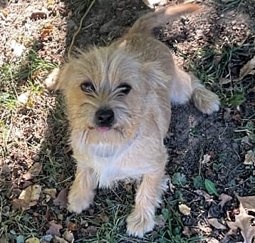 Photo of Bentley