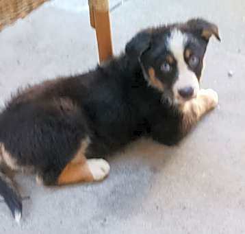 Photo of Teeter