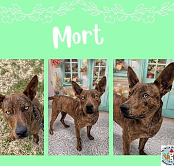 Photo of Mort