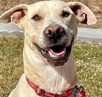 Photo of Blaze