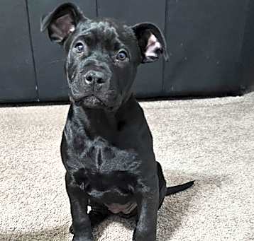 Photo of Thelma