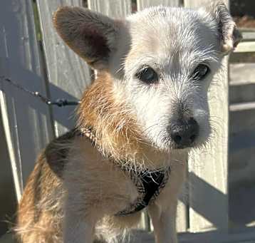 Photo of Frisco