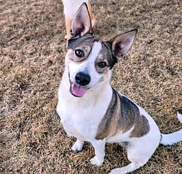Photo of  Miss Koda