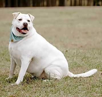 Photo of Mabel