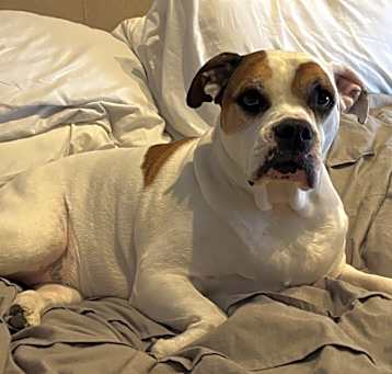 Photo of Molly