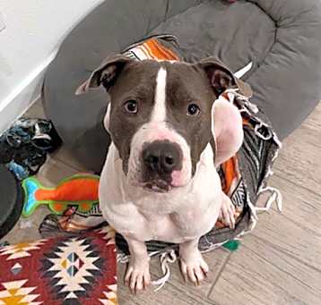 Photo of ROWDY