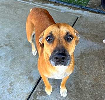 Photo of Myla