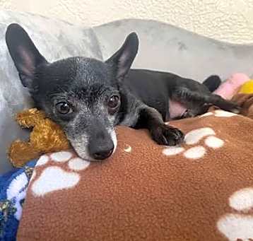 Photo of Baby Girl