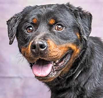 Photo of Bane