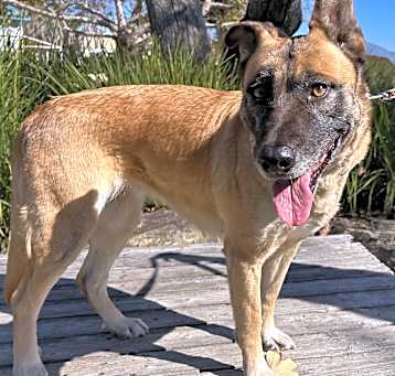 Photo of Sawyer