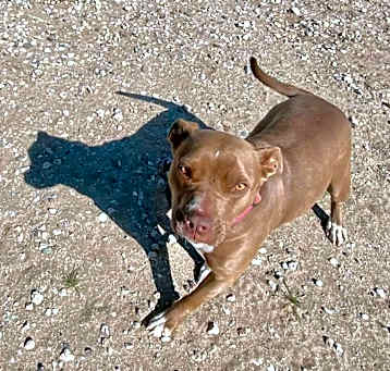 Photo of Jazz