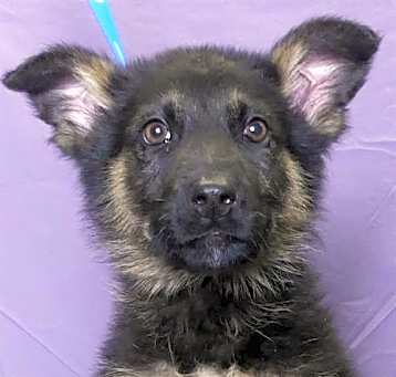 Photo of STORMY